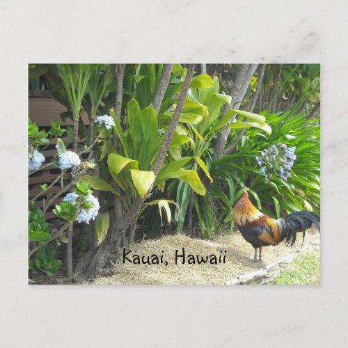 Kauai Hawaii Postcard