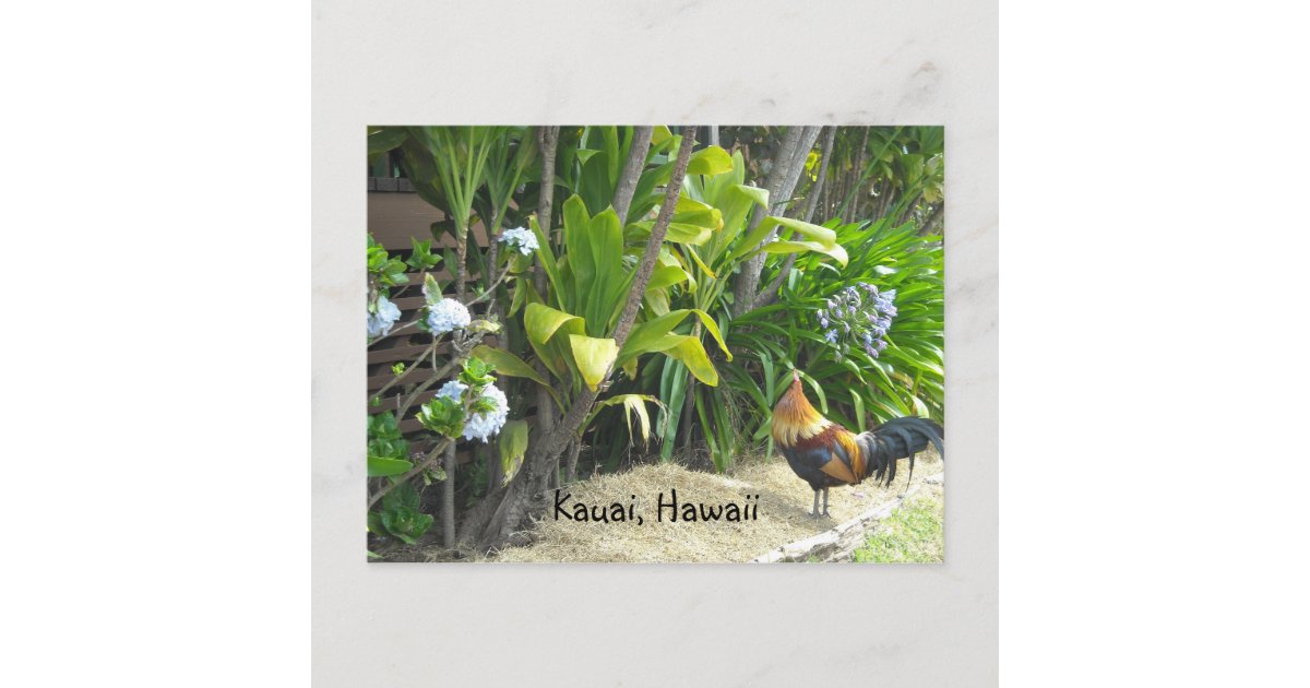 Kauai, Hawaii Postcard Zazzle
