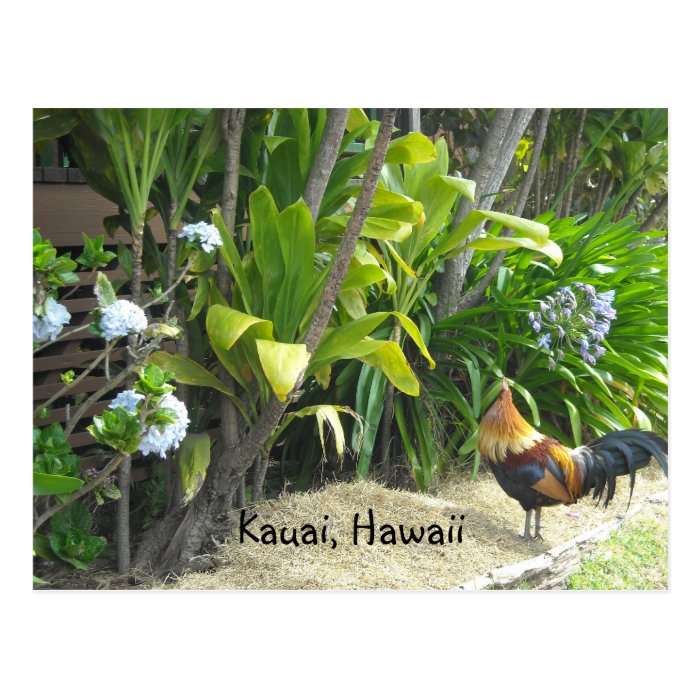Kauai, Hawaii Postcard Zazzle