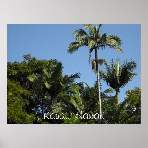 Kauai Hawaii Poster