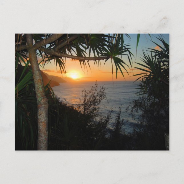 Kauai Hawaii Sunset Postcard (Front)