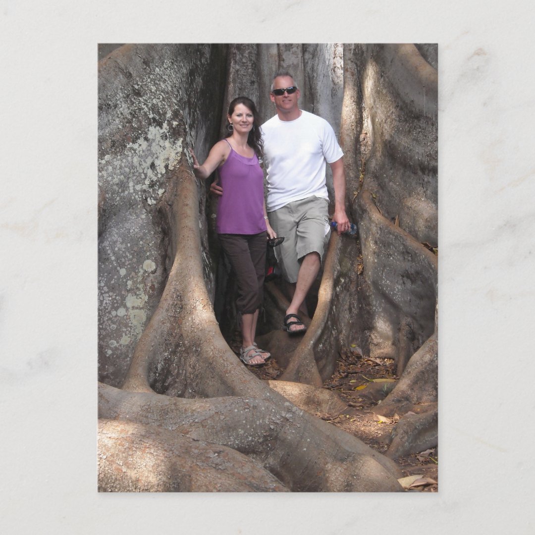 Kauai Hawaii Trees from Jurassic Park Movie Postcard Zazzle