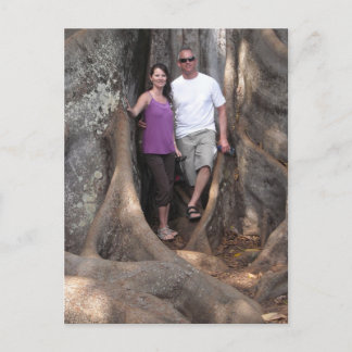 Kauai Hawaii - Trees from Jurassic Park Movie Postcard