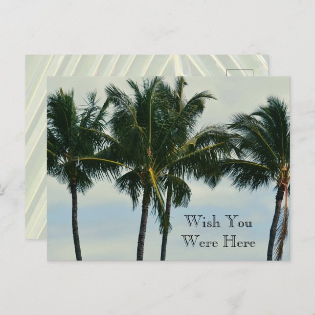 Kauai Hawaii Tropical Palm Trees Postcard (Front/Back)