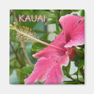 Kauai Hawaiian Tropical Flowers Hibiscus Magnet