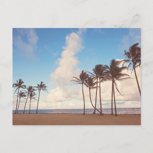 Kauai Island Palm Trees Postcard