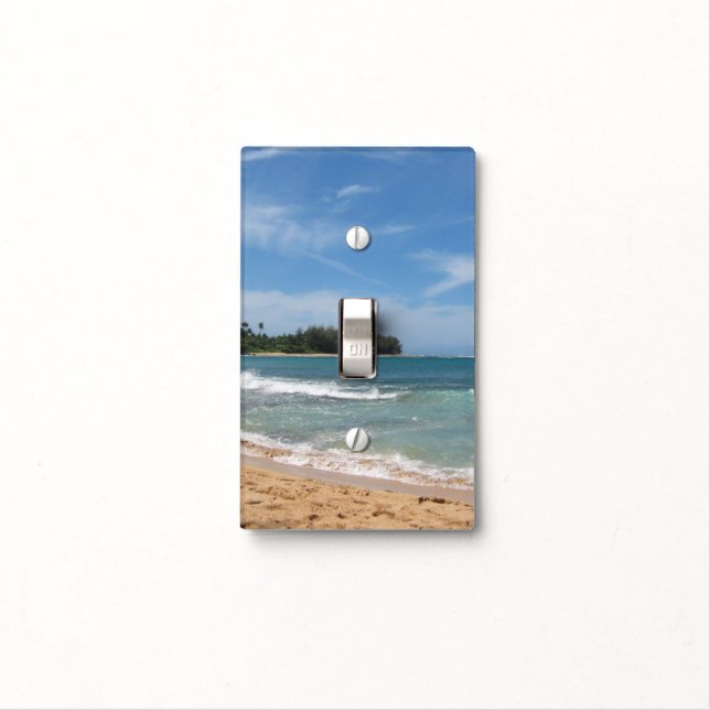Kauai Light Switch Cover (In Situ)