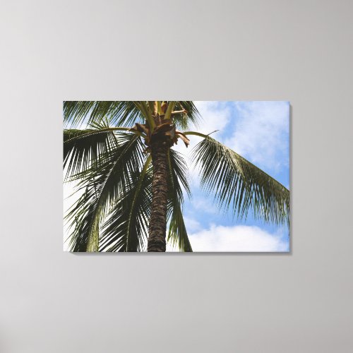 Kauai Palm Tree Canvas Print