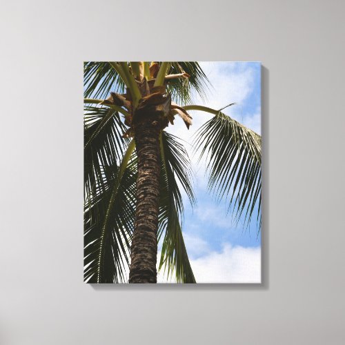 Kauai Palm Tree Canvas Print