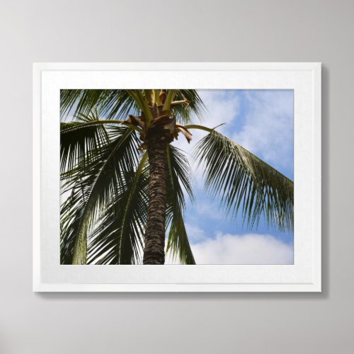 Kauai Palm Tree Framed Art