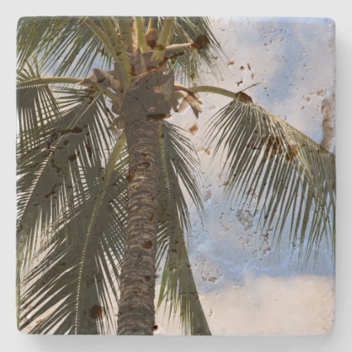 Kauai Palm Tree Stone Coaster