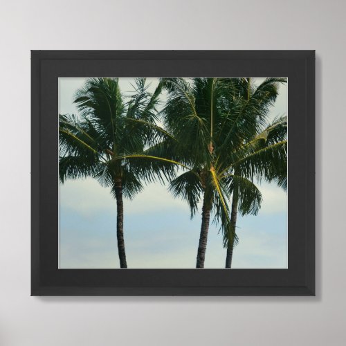 Kauai Palm Trees and Sky Framed Art