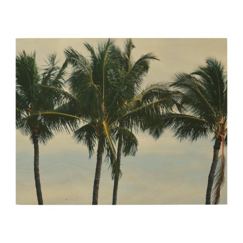 Kauai Palm Trees and Sky Wood Wall Art