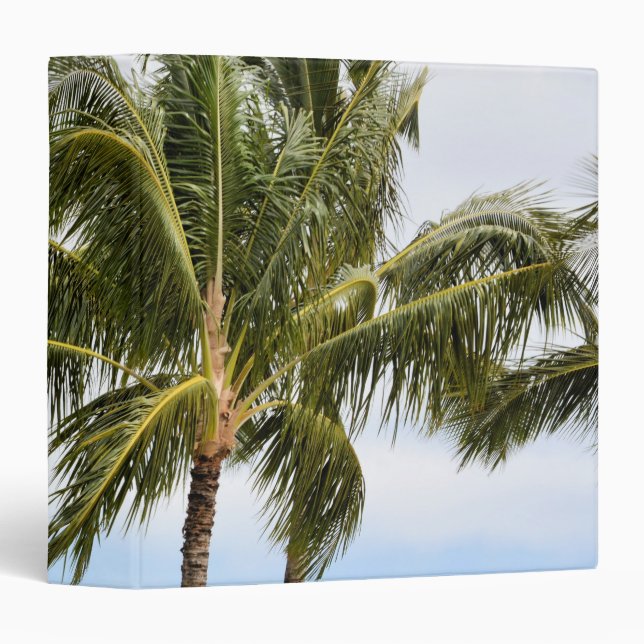 Kauai Palm trees Binder (Front/Spine)