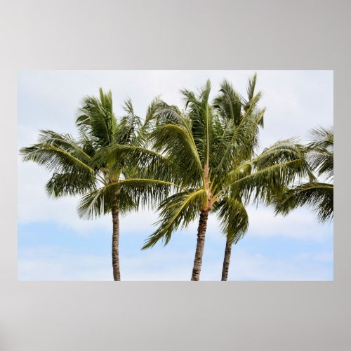 Kauai Palm Trees Poster