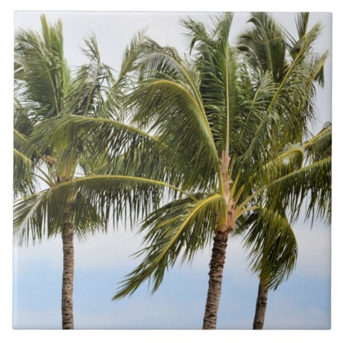Kauai Palm trees Tile