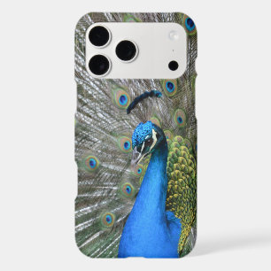 Kauai Peacock iPhone 17 Pro Max Case