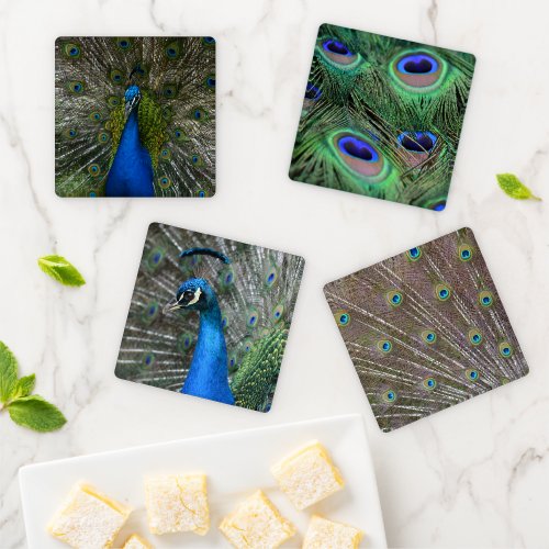 Kauai Peacock Coaster Set