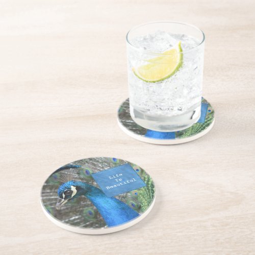 Kauai Peacock Feathers Coaster