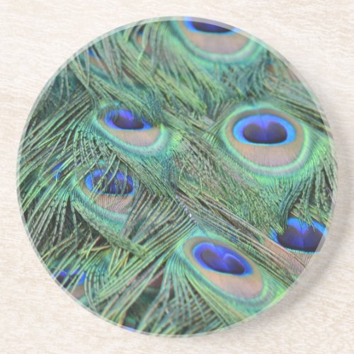 Kauai Peacock Feathers Coaster