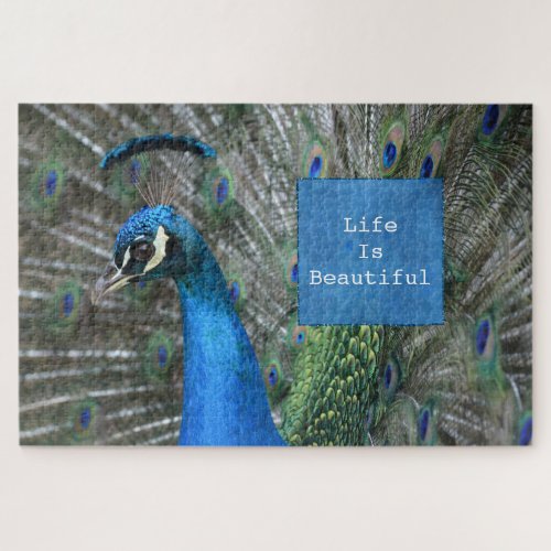 Kauai Peacock Feathers Jigsaw Puzzle