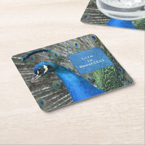 Kauai Peacock Feathers Square Paper Coaster