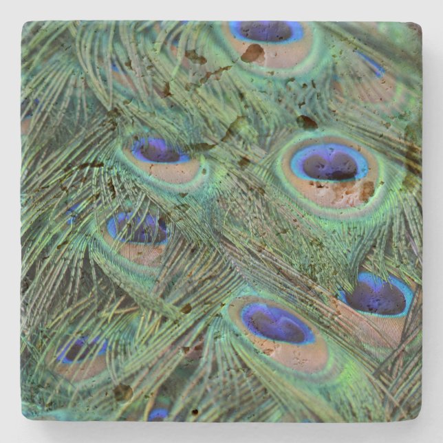 Kauai Peacock Feathers Stone Coaster (Front)