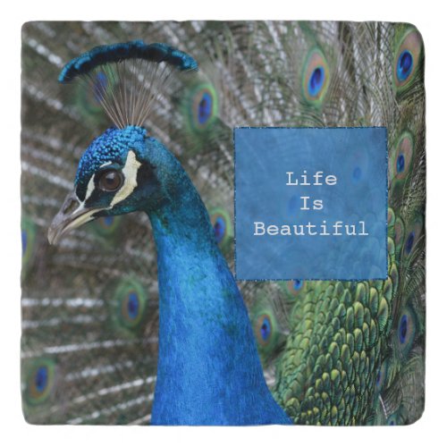 Kauai Peacock Feathers Trivet