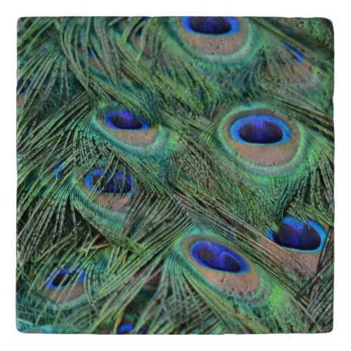 Kauai Peacock Feathers Trivet