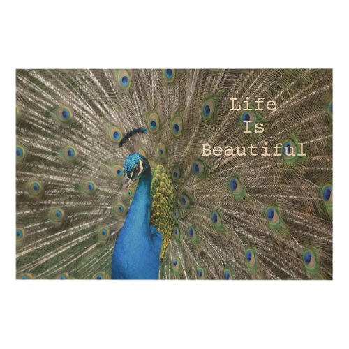 Kauai Peacock Feathers Wood Wall Art