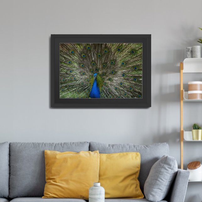Kauai Peacock Framed Art (Living Room 3)