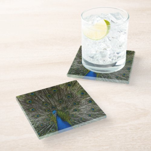 Kauai Peacock Glass Coaster