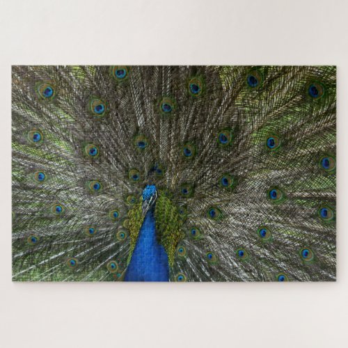 Kauai Peacock Jigsaw Puzzle