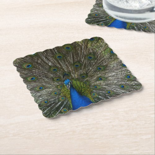 Kauai Peacock Paper Coaster