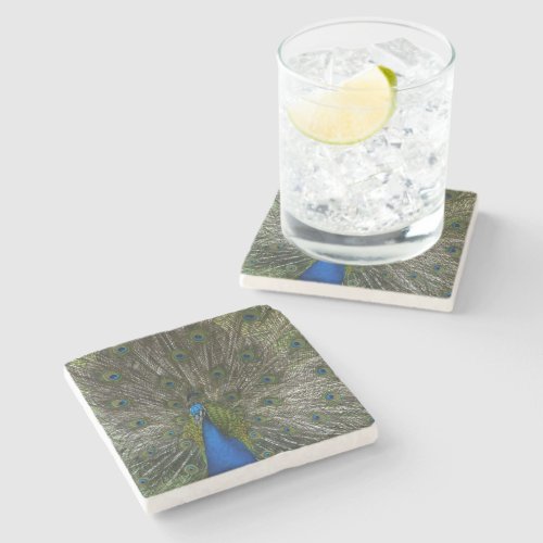 Kauai Peacock Stone Coaster