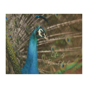 Kauai Peacock Wood Wall Art