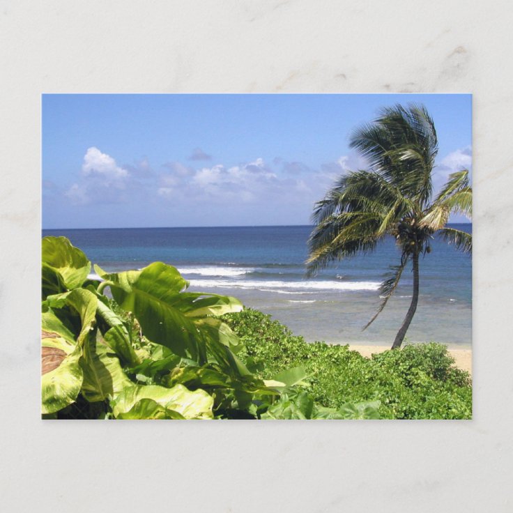 Kauai Postcard Zazzle