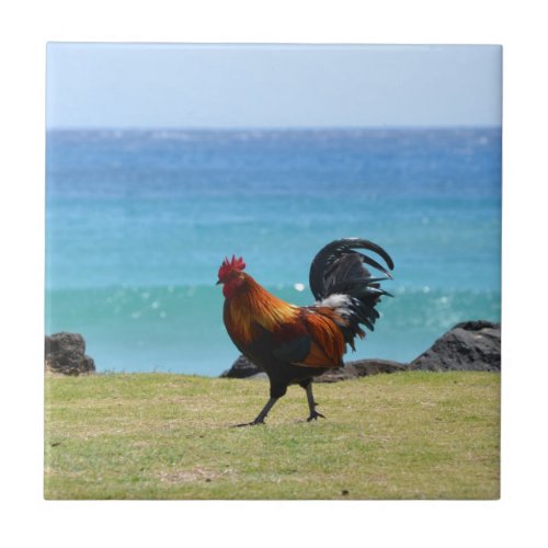 Kauai rooster ceramic tile