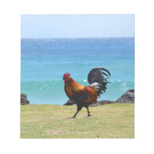 Kauai rooster notepad