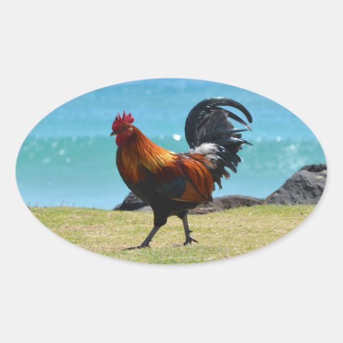 Kauai rooster oval sticker