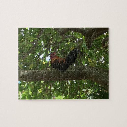 Kauai Rooster Sitting in Tree _ Hawaii Jigsaw Puzzle