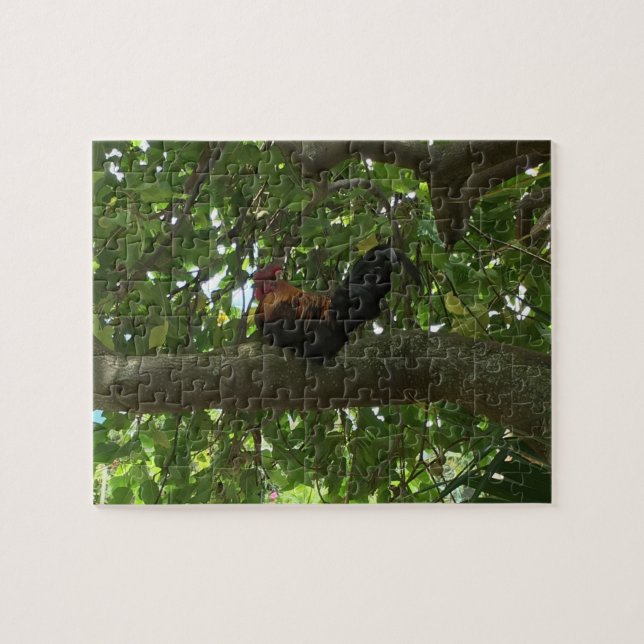 Kauai Rooster Sitting in Tree - Hawaii Jigsaw Puzzle (Horizontal)