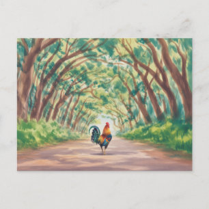 Kauai Rooster walking towards tree tunnel Postcard