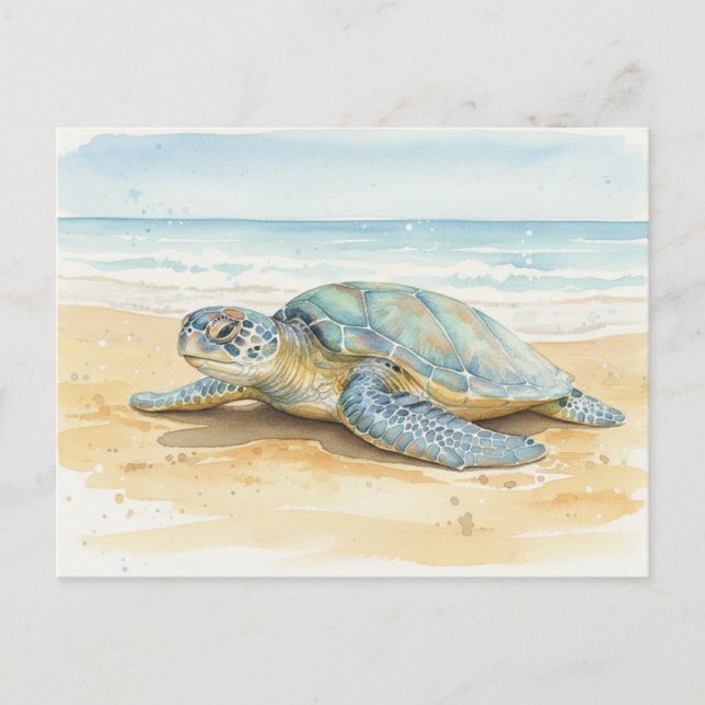 Kauai  Sea Turtles Resting at the Beach Postcard (Front)