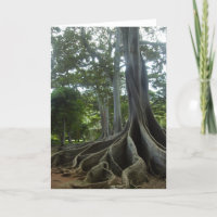 Kauai Tree from Jurassic Park (eggs) Card