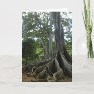 Kauai Tree from Jurassic Park (eggs) Card