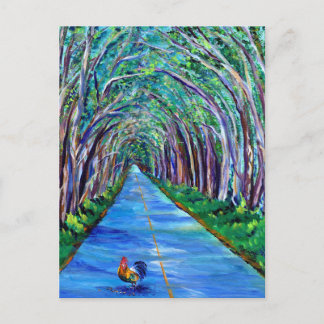 Kauai Tree Tunnel with Rooster Postcard