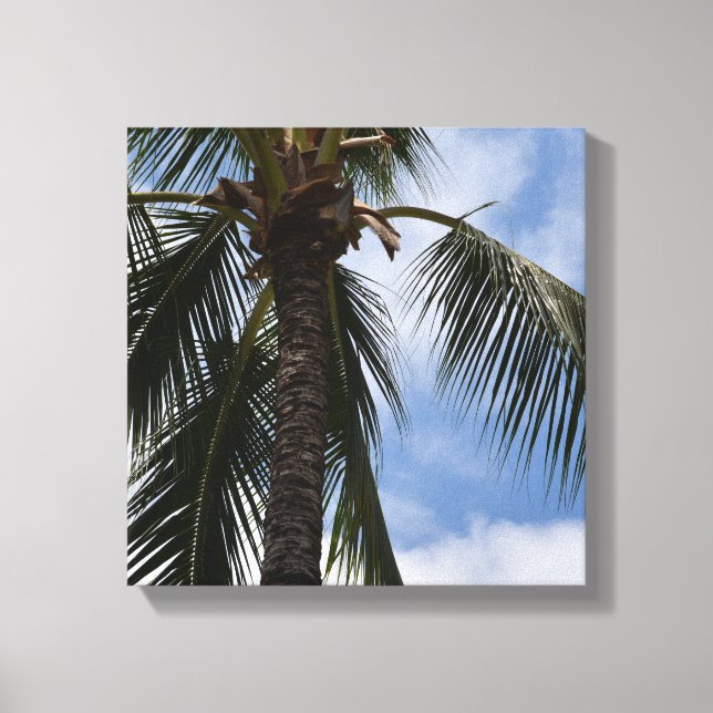 Kauai Tropical Palm Tree Canvas Print (Front)