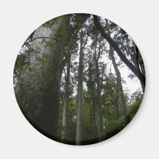 Kauri Forest Magnet