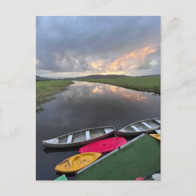 Kaw-Roura Marshland Nature Reserve - French Guyana Postcard (Front)